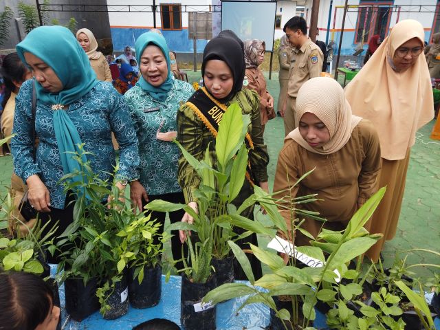 Bunda PAUD Koltim: Terapkan Tanaman Toga Disemua PAUD