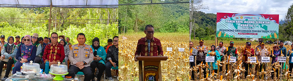 Pemda Koltim Bersama Polres Koltim Gelar Panen Raya Jagung Serentak, Dukung Swasembada Pangan 2026